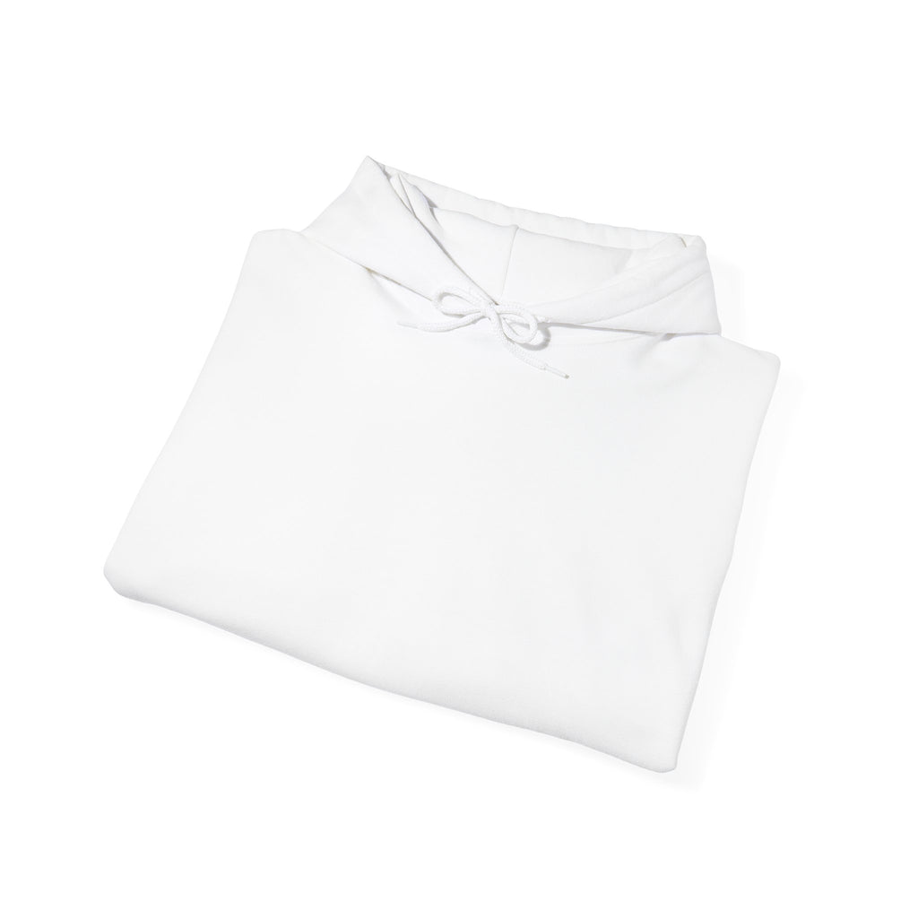 White Have You Seen a UFO? Hoodie