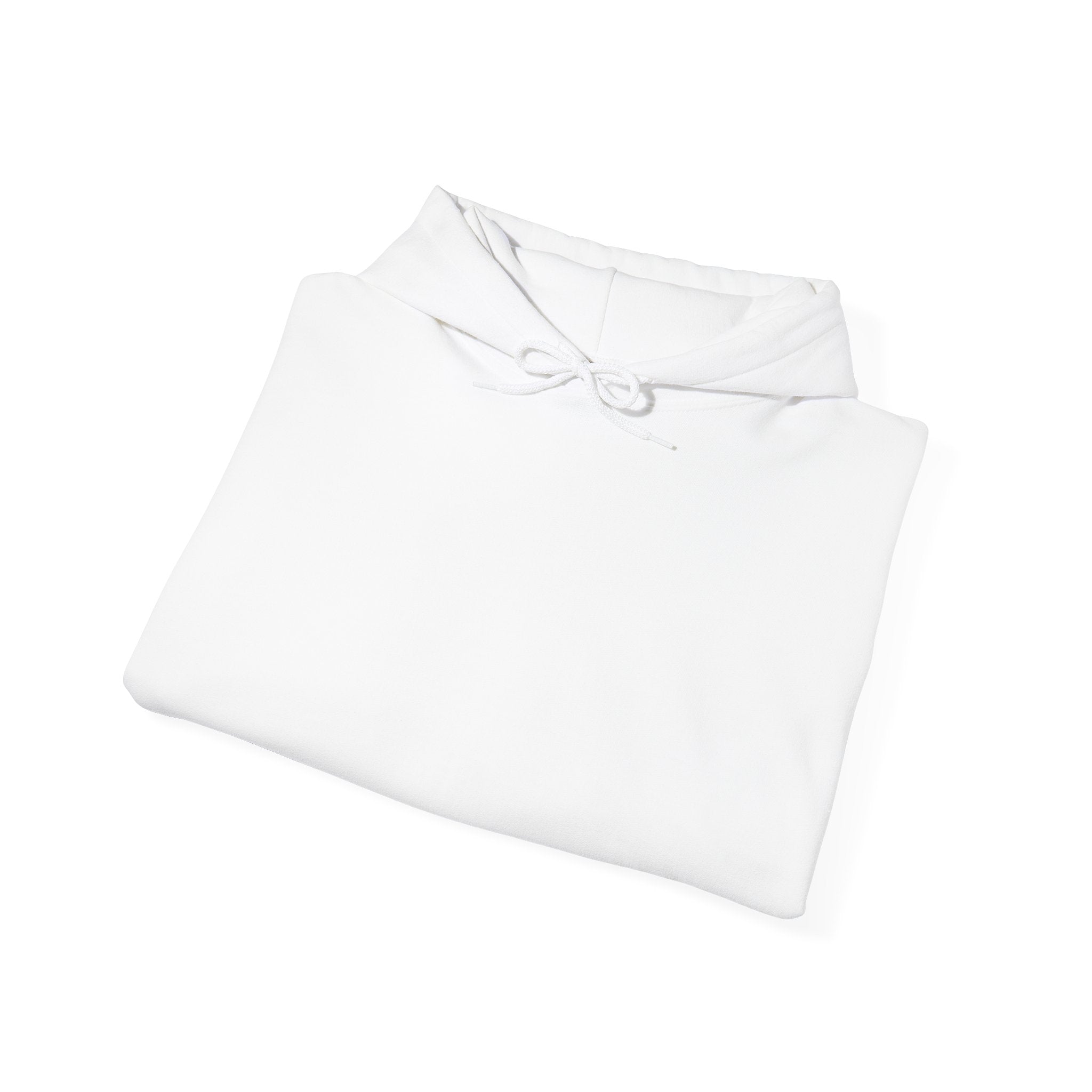 White Have You Seen a UFO? Hoodie