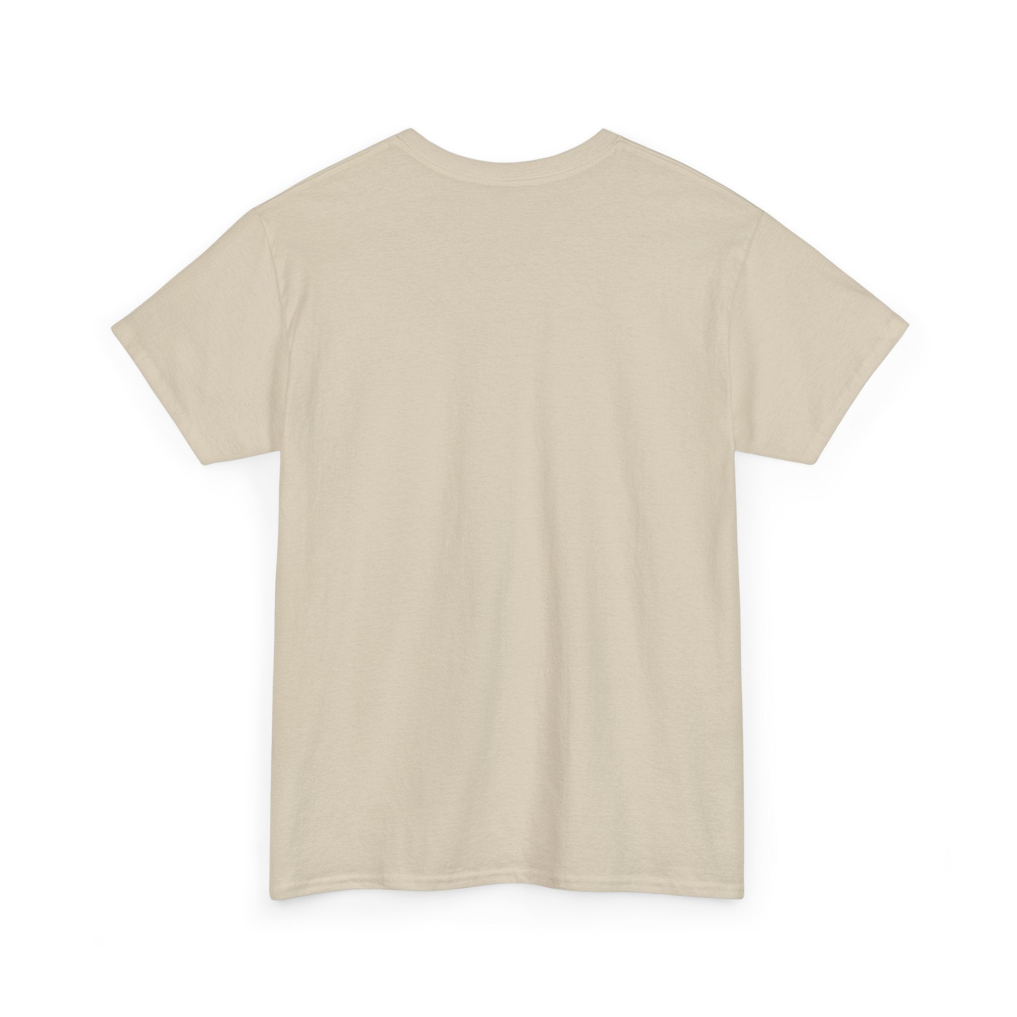 Have You Seen A UFO? T-Shirt