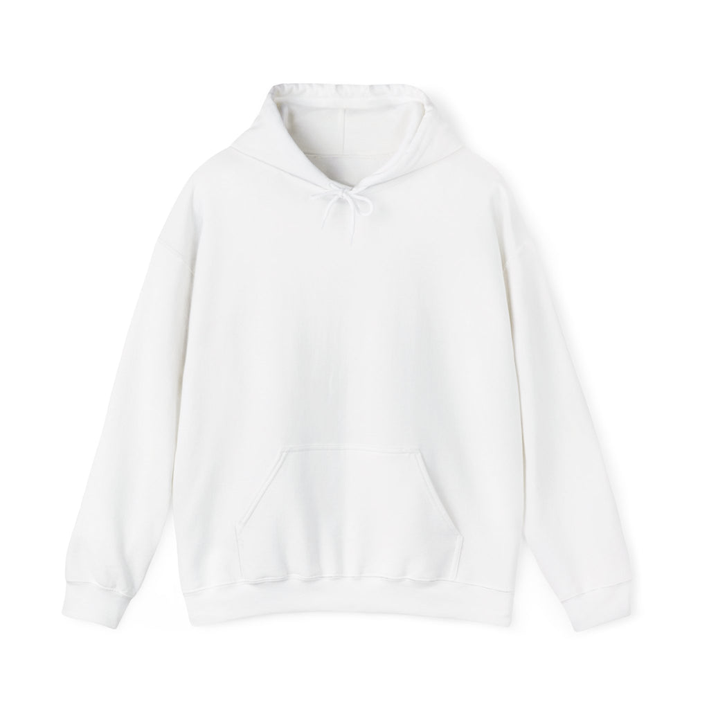 White Have You Seen a UFO? Hoodie