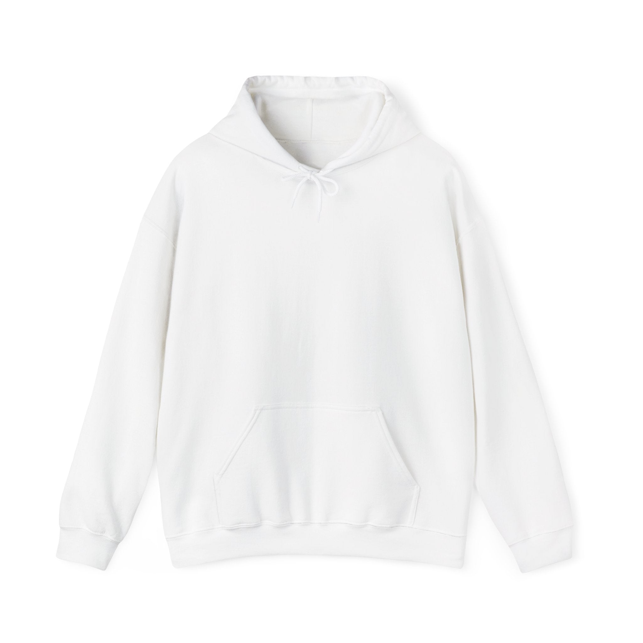 White Have You Seen a UFO? Hoodie