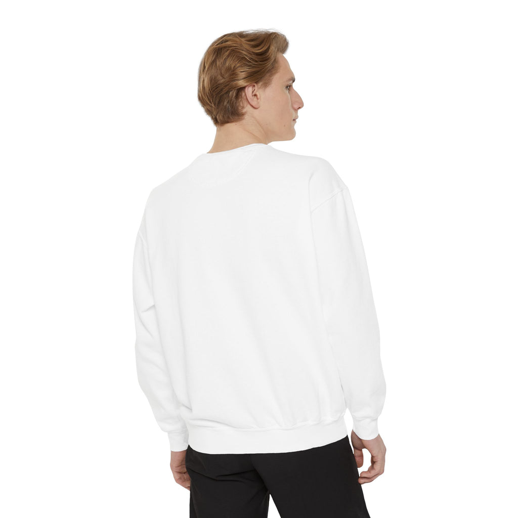 Lucid Dreaming Quote Sweatshirt – "If You Can Fly Inside a Lucid Dream You Can Fly a UFO"