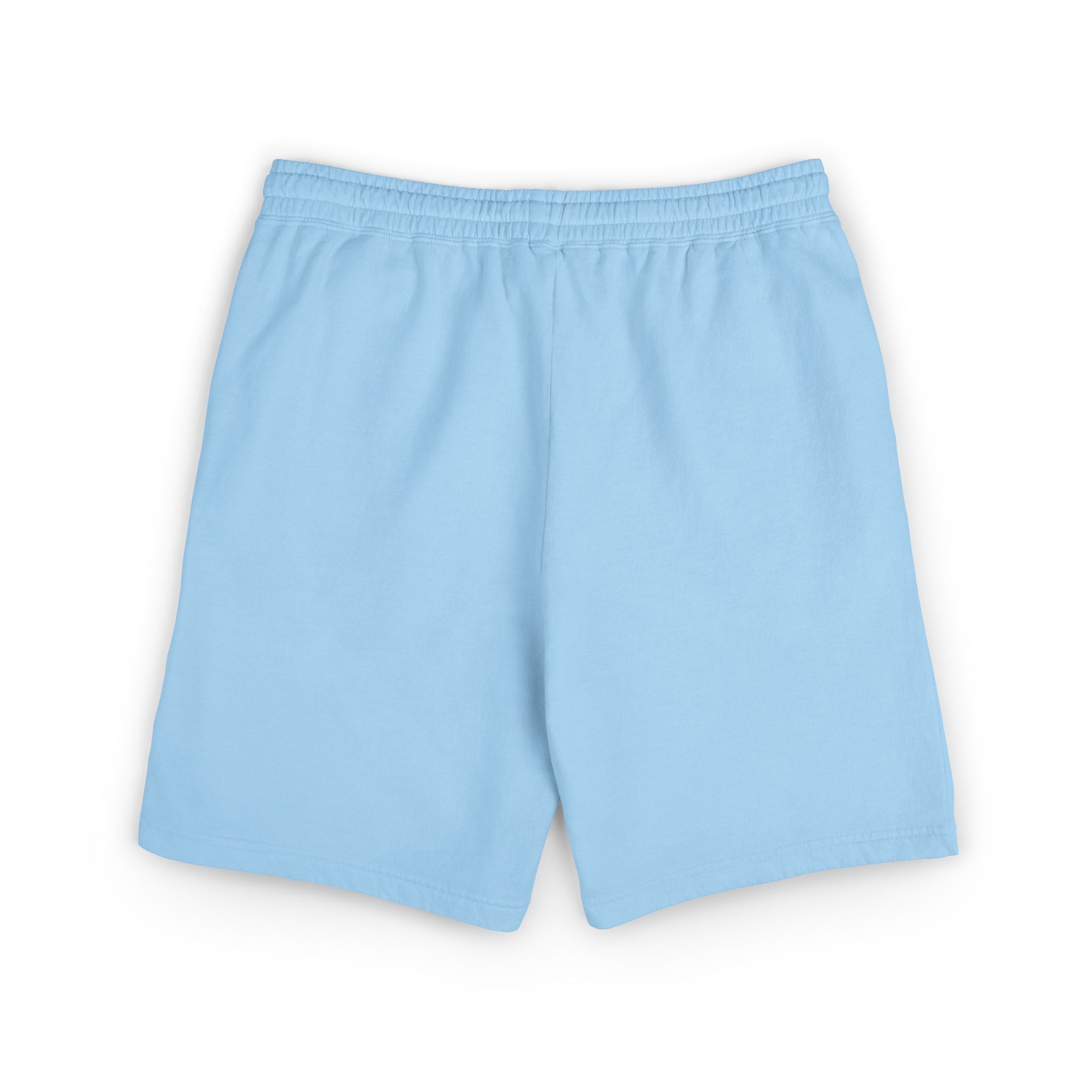 Light Blue Encountered UFO Logo Fleece Sweat Shorts