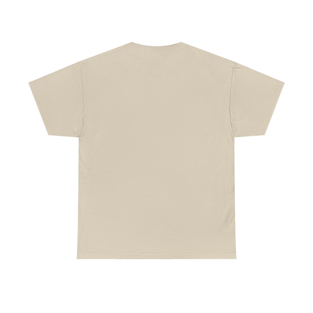 Have You Seen A UFO? T-Shirt