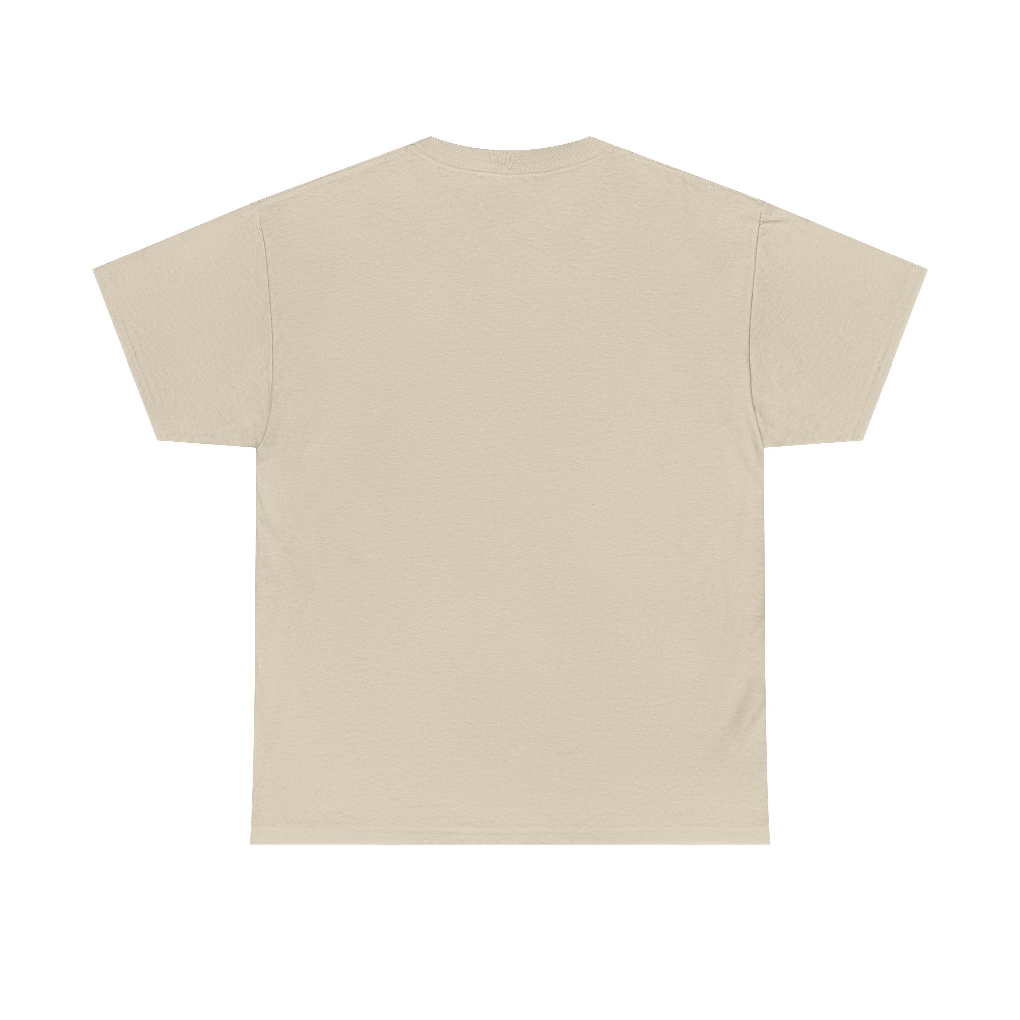 Have You Seen A UFO? T-Shirt